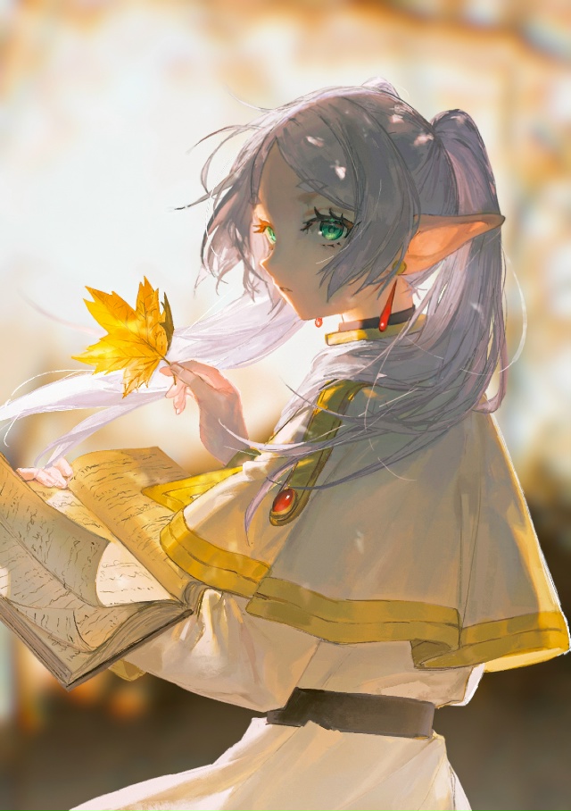 #Sousou_no_Frieren / Фрирен, провожающая в последний путь
Эльфи...