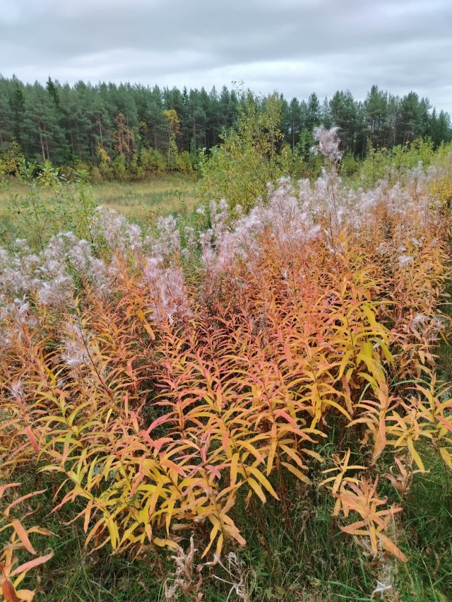 Доброй ночи, Никольск❤
