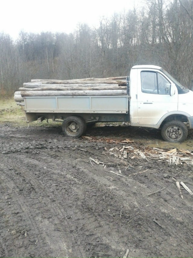 Продаем дрова 🪵 ильма колотые
, чурбакми и длинамером ...