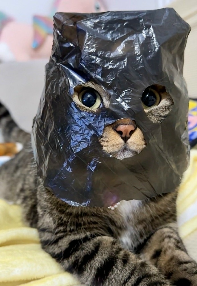 Всю еду на стол - это ограбление)