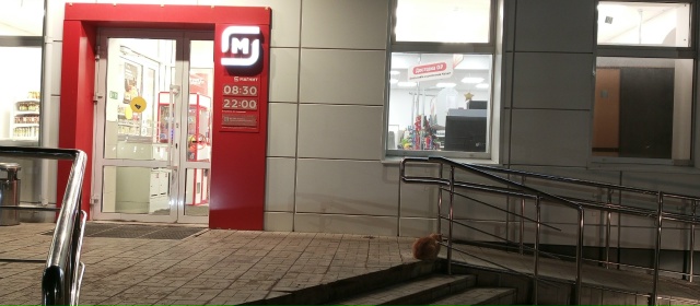 Красивый, ухоженный, добрый котик или потерялся или жд?...