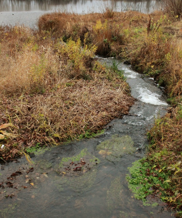Красивая осень в Чайковском 🍂