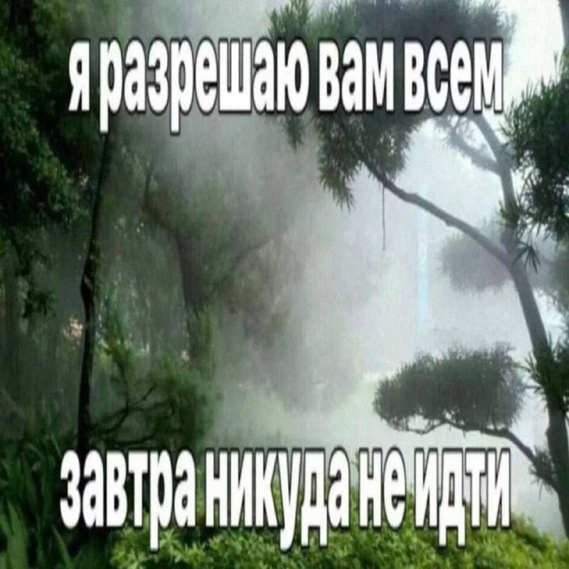Утренняя подборочка