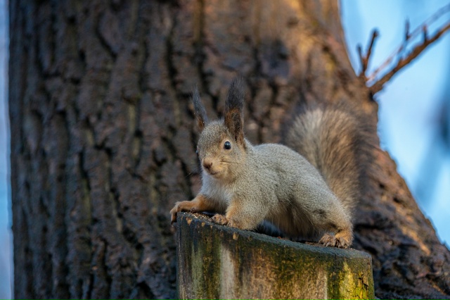 В парке ... 👀