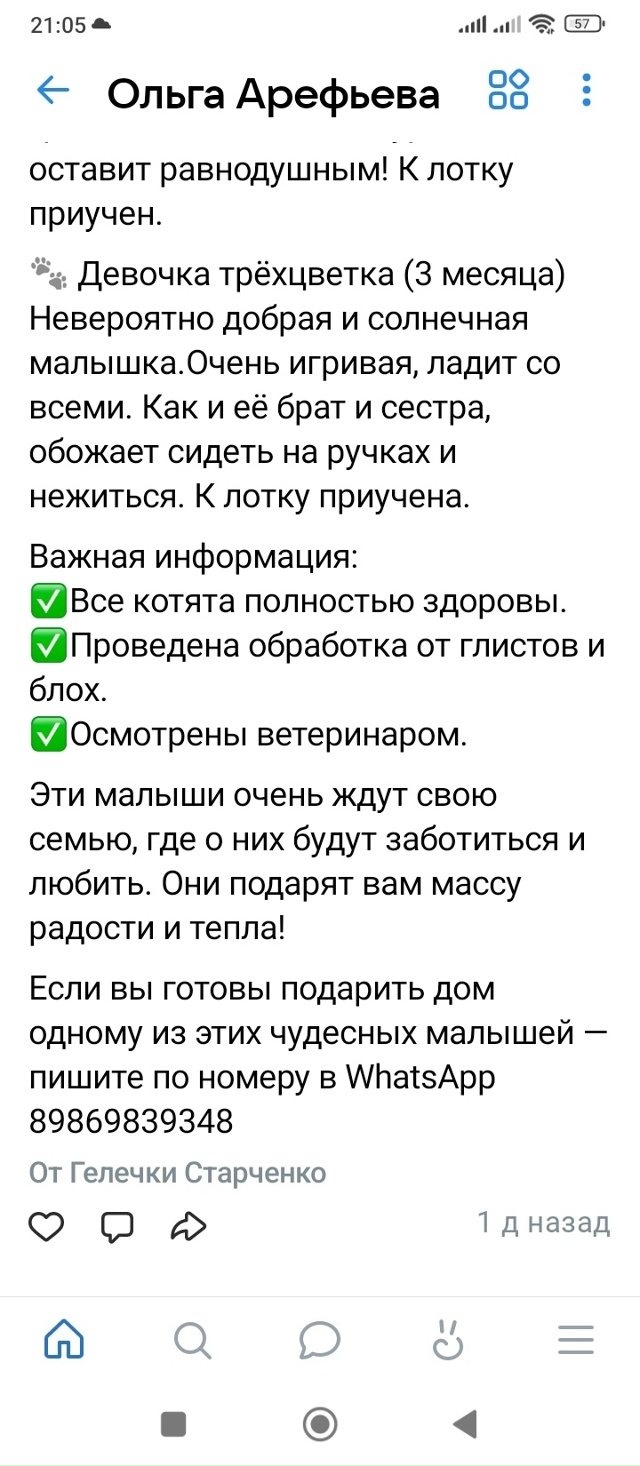 Хозяин, найдись!!! Просьба отозваться неравнодушных лю?...