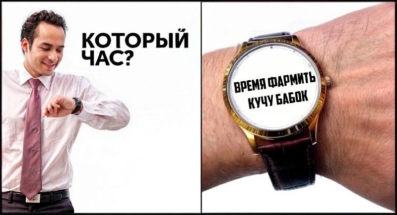 В Германии судят блогера, который собрал €500 000 для «нуждающихся палестинцев» и потратил почти все
