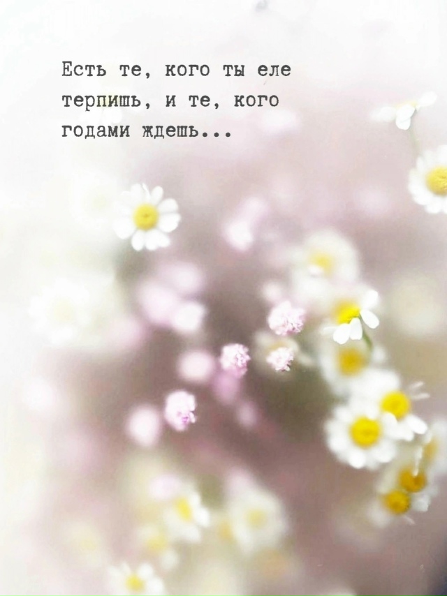 Кого ты терпишь, и кого ждешь годами..