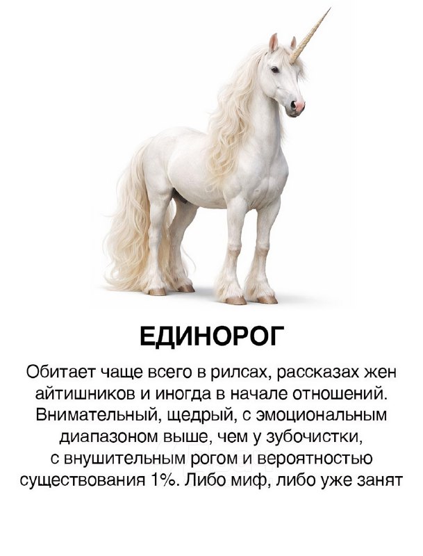 Появилась классификация парней в виде коней
Ищем себя, скидываем кентам