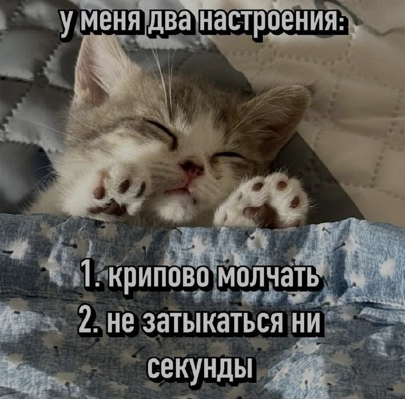 Ночная подборочка
Выходные, не спим