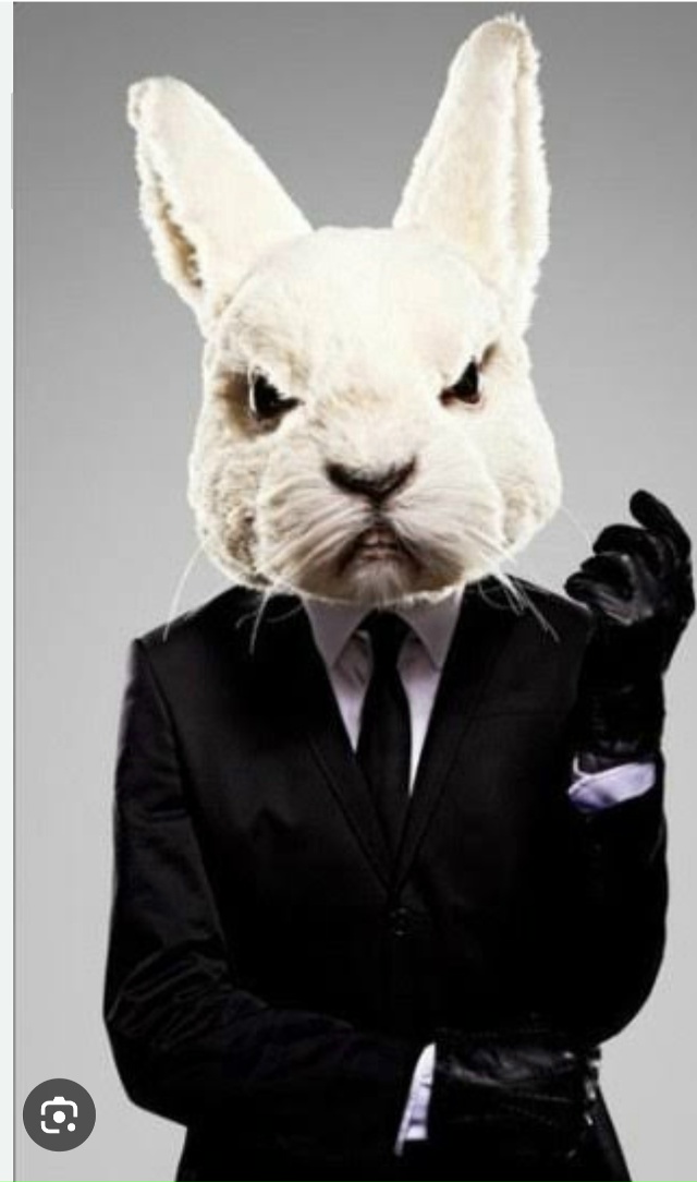 Всем Привет. Возможно ли в городе или в Екб, найти или з?...