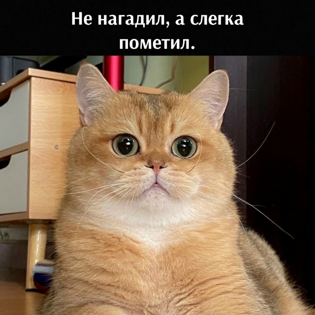 Да, хозяин, всё это сделал я, но с одним Но)))