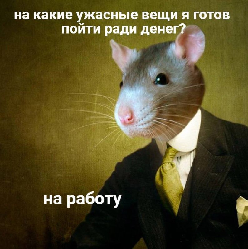 Утренняя подборочка