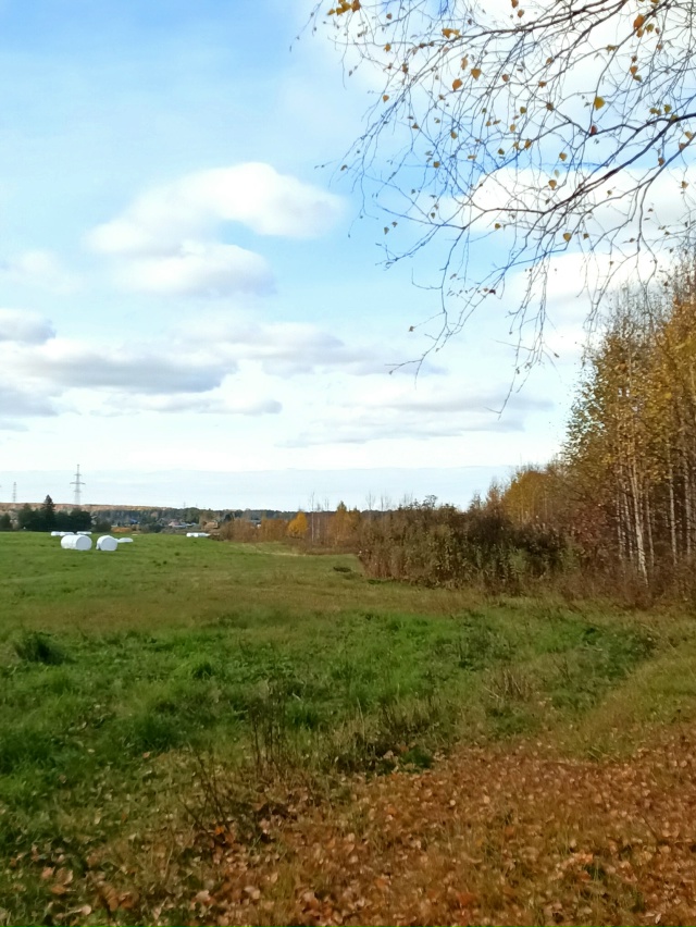 Доброе утро, Сосногорск😊 🍁