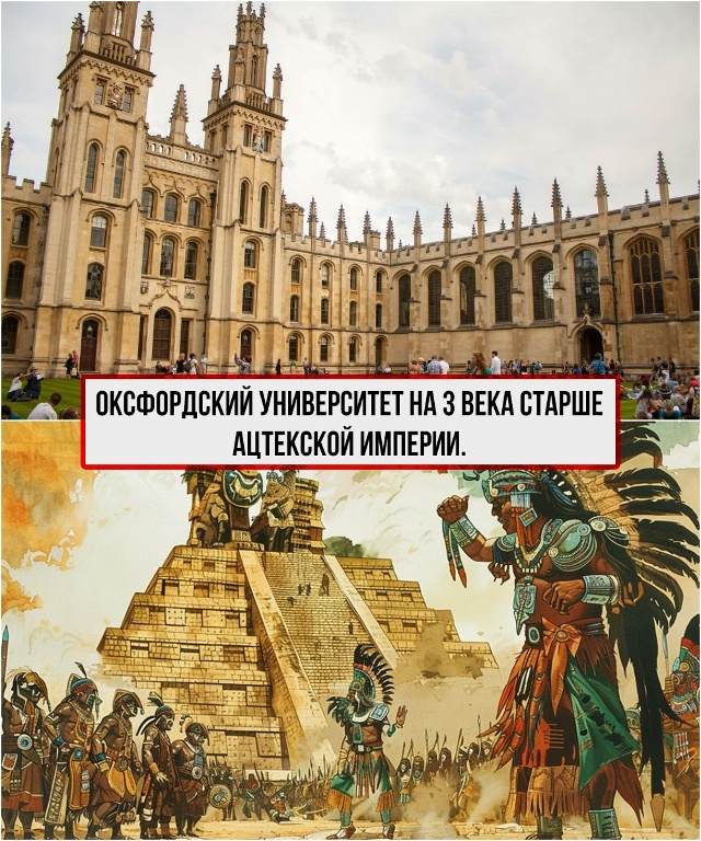 Пересылайте посты близким, ставьте реакции - это лучша?...