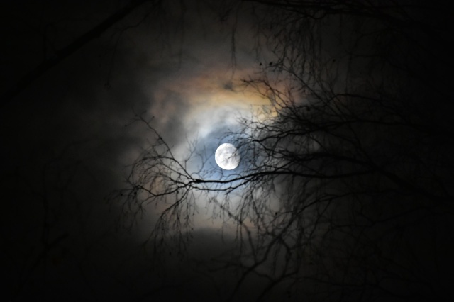 Спокойной ночи 🌙
Фото: Андрей Колегов