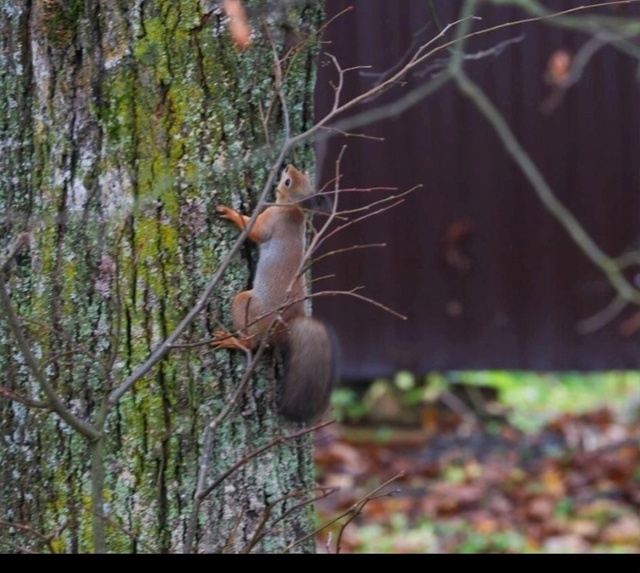 Доброе утро! Прогноз погоды на 28 октября В Оренбурге с...