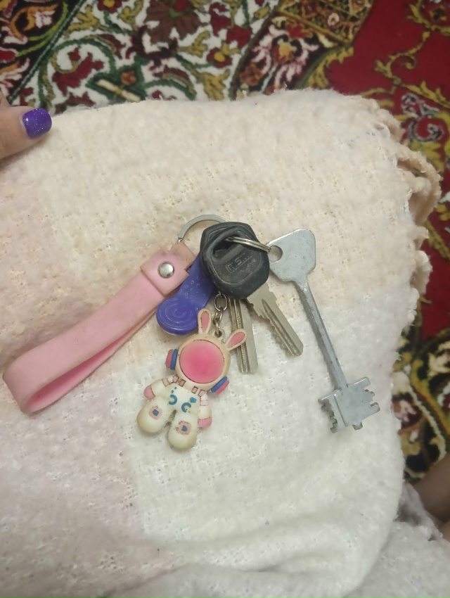 Добрый вечер. Нашли ключи на улице Калинина 42, возле ап?...