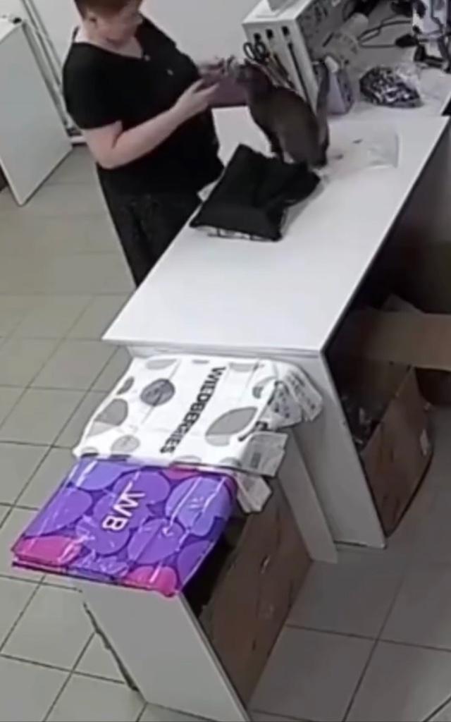 В сети обнаружили самого красивого сотрудника ПВЗ. Нас...
