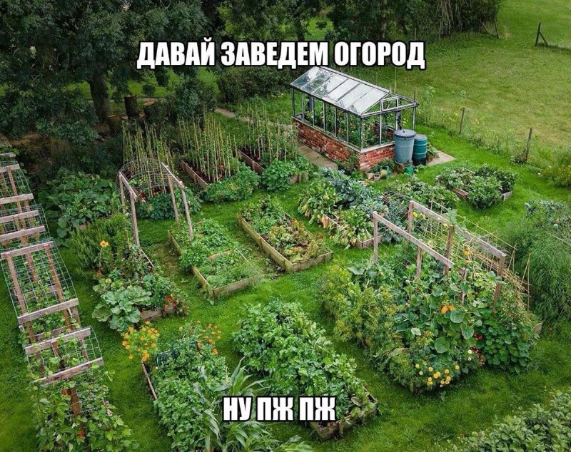 Утренняя подборочка