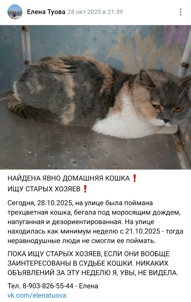 Пост добра. Распространите, пожалуйста.