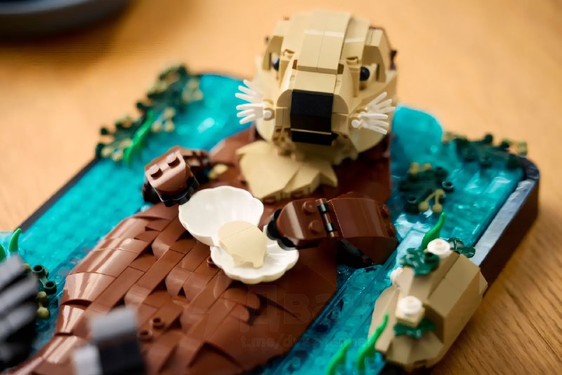 LEGO показала новый набор «Плавающие морские выдры»
У фигурки всё двигается — голова, рот, лапы и л