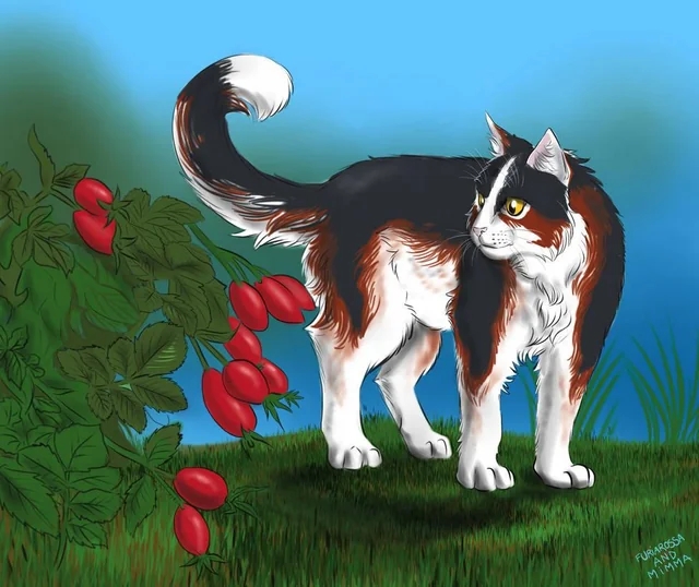 Пепелица: воительница. Попала под машину, но — в отличи...