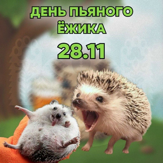 ️🦔 День пьяного ёжика отмечаем сегодня
Символично, ?...