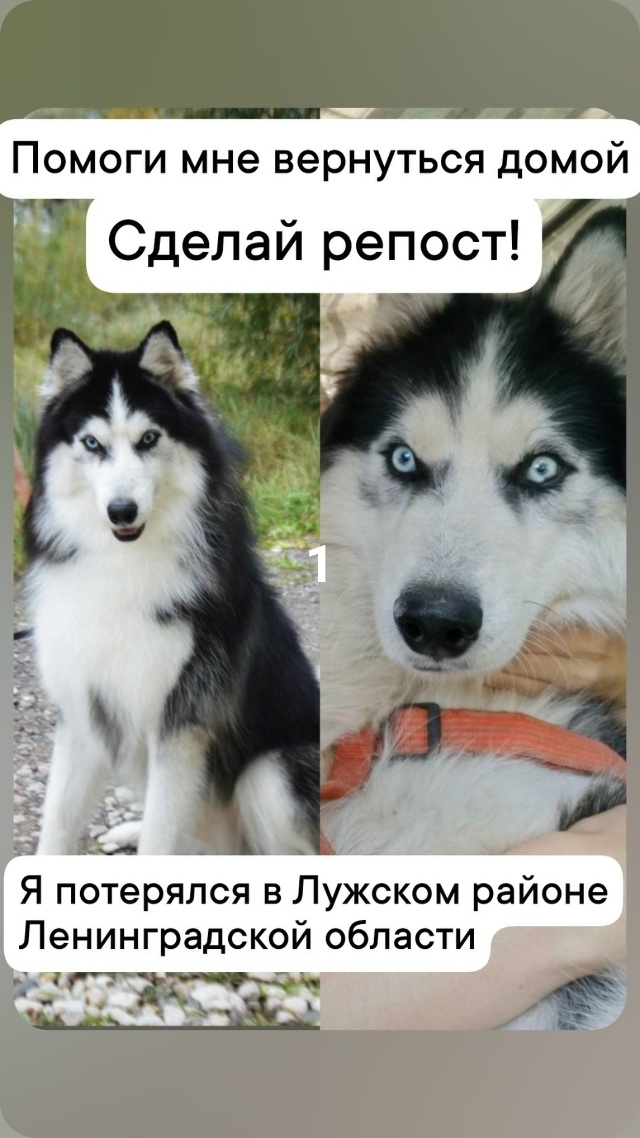 #потерялиНашлиПомогите
1 ПОСМОТРИТЕ ВНИМАТЕЛЬНО МОЖЕ...