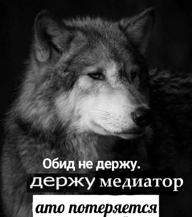 со смыслом