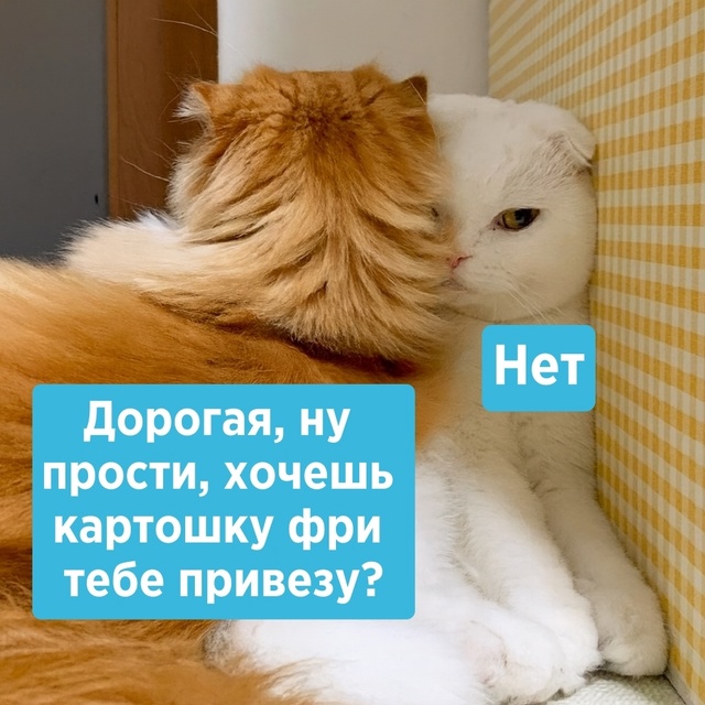 Кое-что на женском