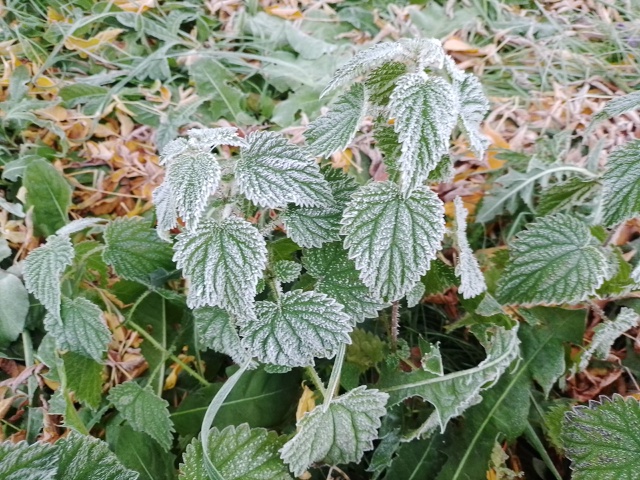 Зима как бы намекает...