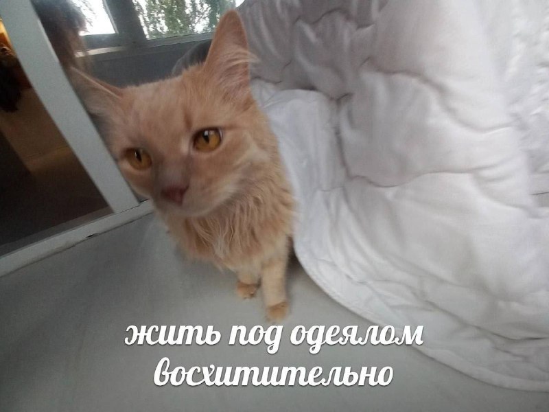 Утренняя подборочка