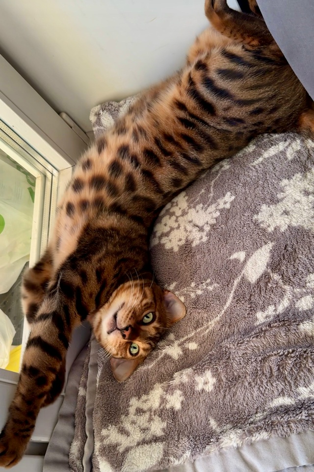 Беляная гора и ближайшие! До сих пор продолжаем поиски ...