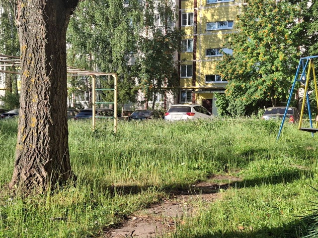Когда уже скосят траву
На улице Грибоедова и Маяковск?...