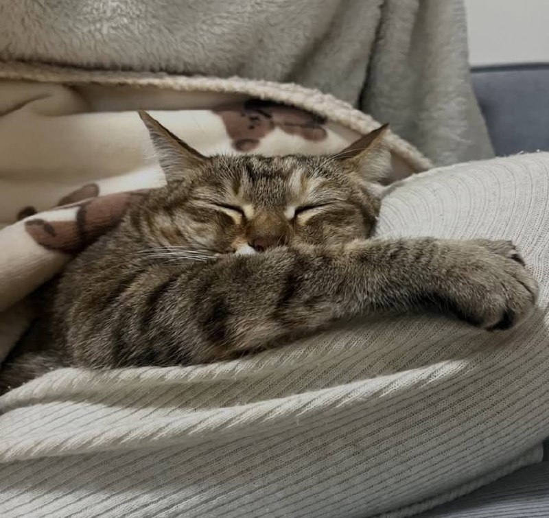 Споть изо всех сил :3