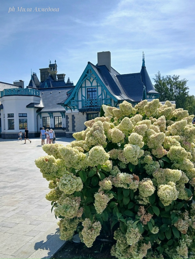 Замок Гарибальди. Самарская обл. 🏰