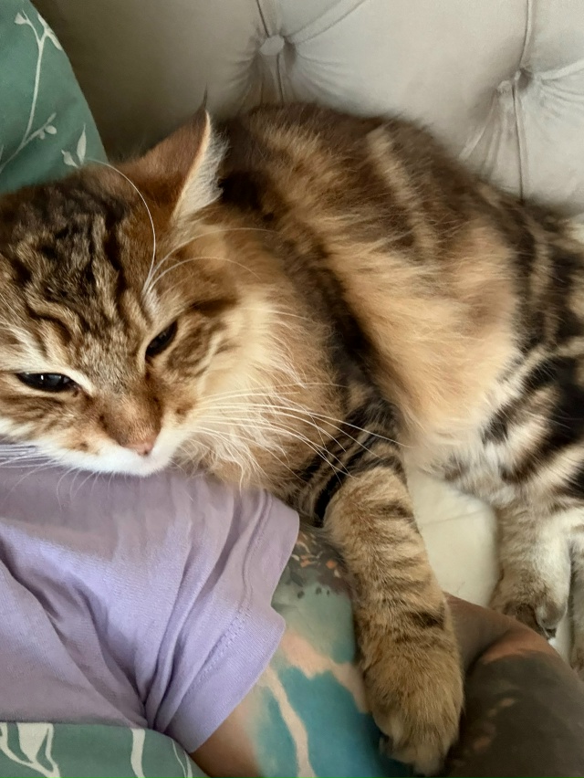 Феликс.
От него отказались, мы забрали)
8 месяцев, а он у...