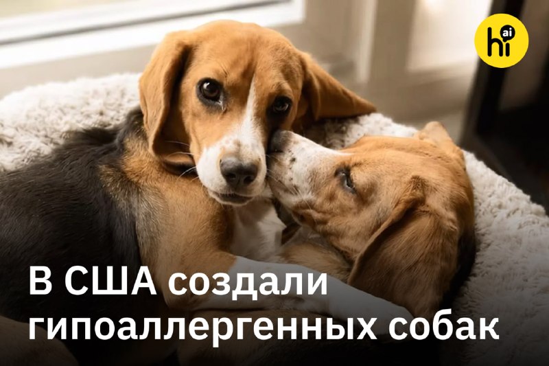 ❤️ Гипоаллергенных ГМО-собак вывели в США
Стартап Kindred Companion Sciences вывел первых в мире ги