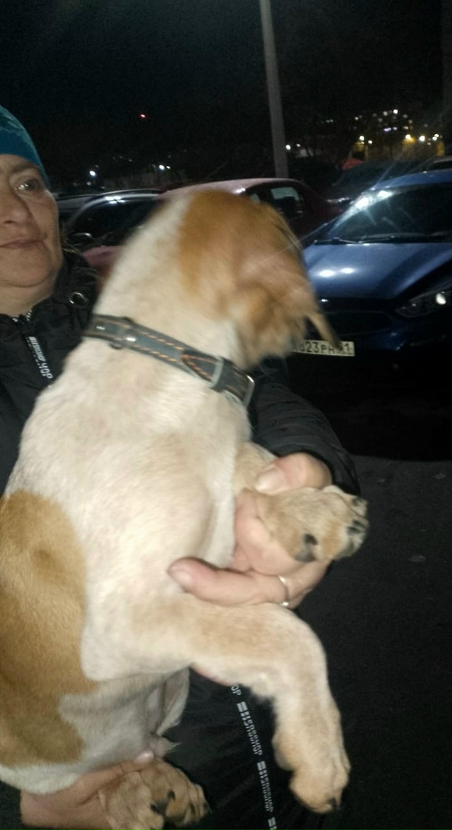 Здравствуйте, выложите, пожалуйста!
Чья собачка потер?...