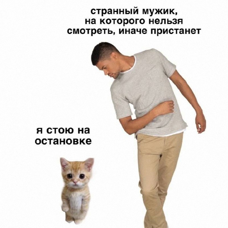 Утренняя подборочка