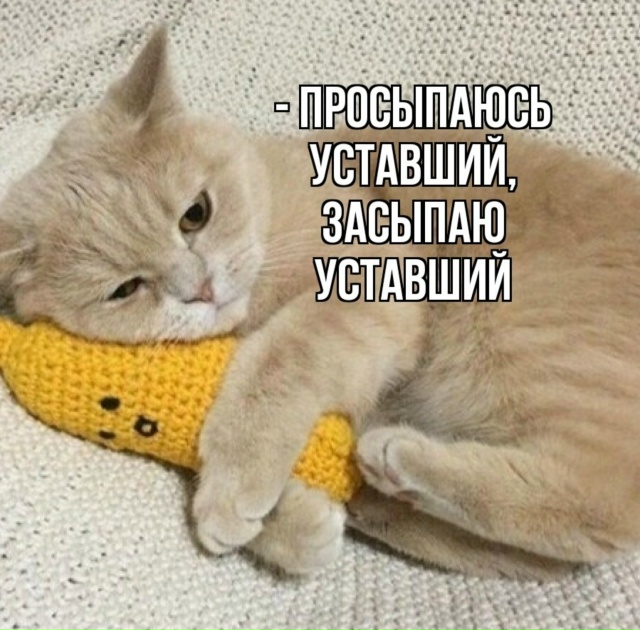 Как же я их понимаю