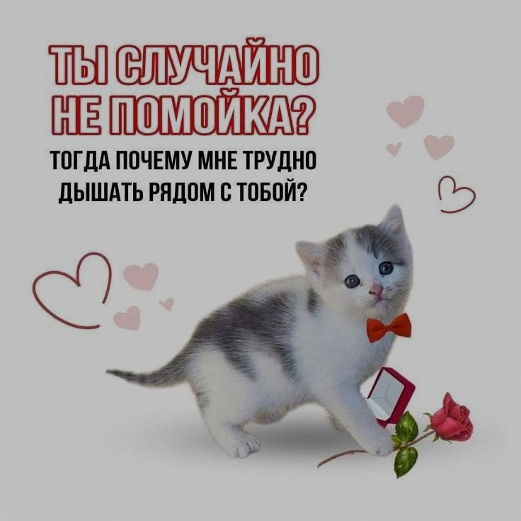 Ночная подборочка
Спать, режим