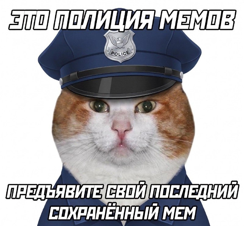 Сегодня отмечаем День мемов.
Кидай свой любимый.