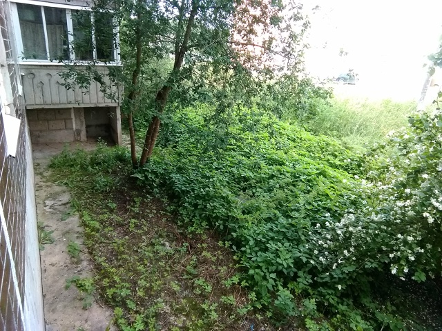 Здравствуйте! Не новость, но впечатление. Некоторые в...