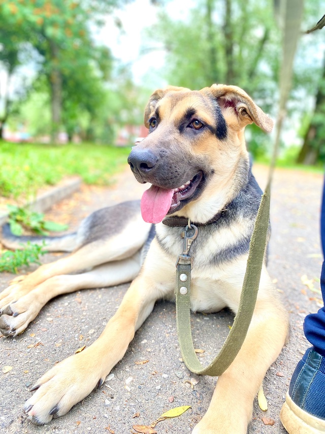 Она правда классная!
Но так никем пока и не замечена.
#М?...