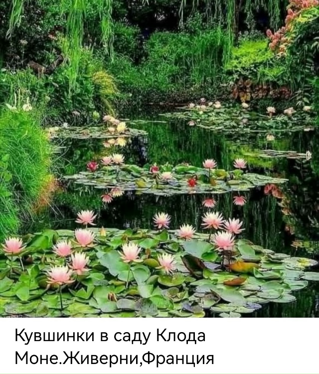НАША ПЛАНЕТА 🌔.