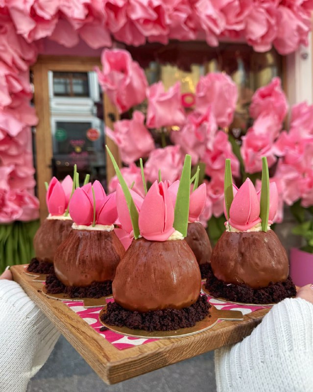 Вааау, OMG Coffee выкатили новые десерты к 8 марта в виде луковицы тюльпана. В кофейнях появятся уже