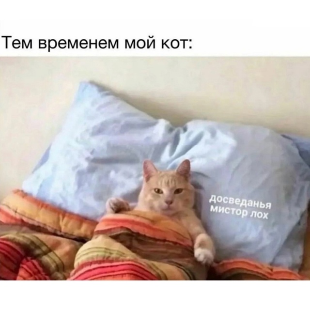Все так