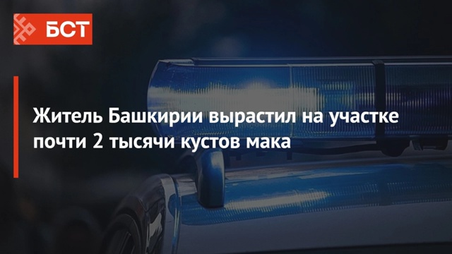 Обвиняемый признал свою вину 😐
В Аургазинском районе...
