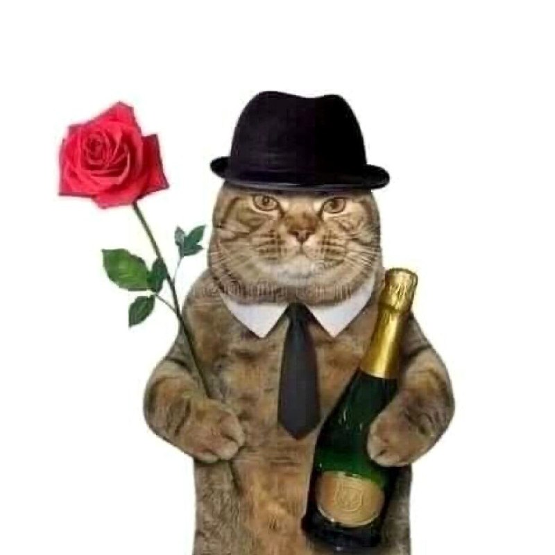 Парни сегодня типо: